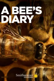 A Bee's Diary