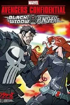 Avengers Confidential: Black Widow & Punisher