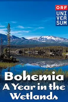 Bohemia: A Year in the Wetlands