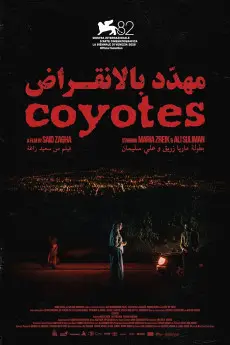 Coyotes