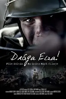 Dear Elza!