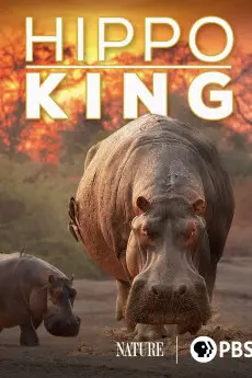 Nature Hippo King