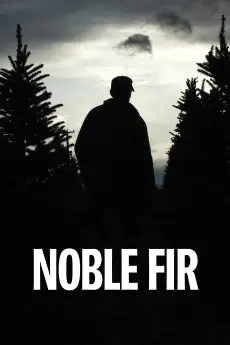 Noble Fir