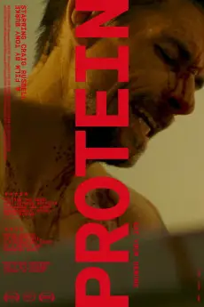 Protein