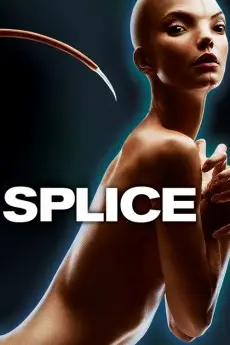 Splice