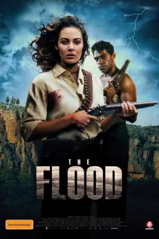 The Flood