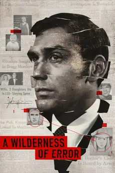 A Wilderness of Error