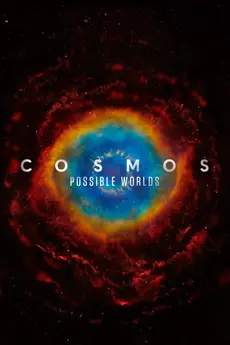 Cosmos: A Spacetime Odyssey