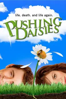 Pushing Daisies